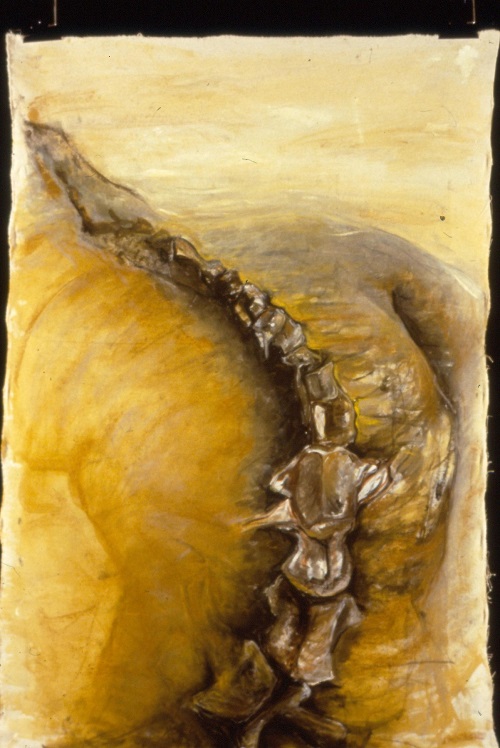 Backbone